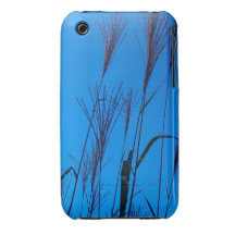 grasses against the summer sky iPhone 3 Case-Mate cases