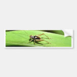 Grasshopper Bumper Stickers