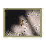 Grasshopper in the Spotlight Post Card