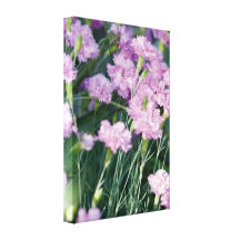 Grasshopper on a pink stretched canvas print