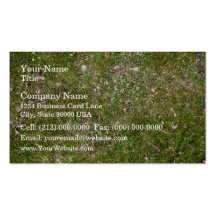 Grassy ground texture business cards