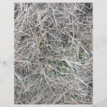 Grassy Ground With Mostly Dead Grass Custom Flyer