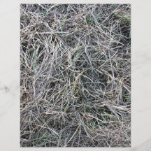 Grassy Ground With Mostly Dead Grass Personalized Flyer