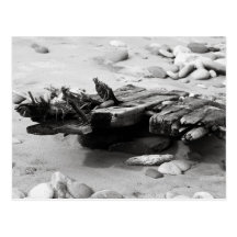 Graveyard Coast Shipwreck Remains Post Cards