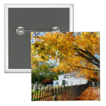 Graveyard in Autumn Pinback Button