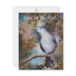 Gray Catbird Invite