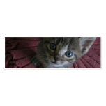 Gray Kitten Bookmark Business Cards