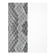 Gray Snakeskin Custom Letterhead
