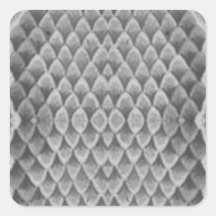 Gray Snakeskin Sticker