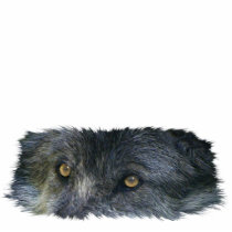 GRAY WOLF EYES (sculpted) Wildlife Magnet