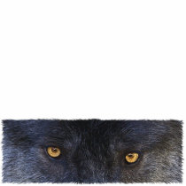 GRAY WOLF EYES (sculpted) Wildlife Magnet