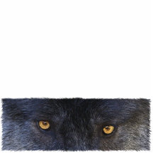 GRAY WOLF EYES (sculpted) Wildlife Magnet Acrylic Cut Out