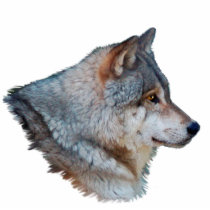 GRAY WOLF HEAD (sculpted) Wildlife Magnet