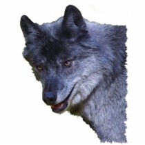 GRAY WOLF (sculpted) Wildlife Magnet