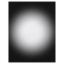 Grayscale Spotlight: Customize This Template! Flyer Design