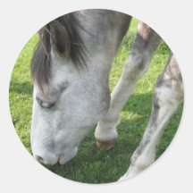 grazin round stickers