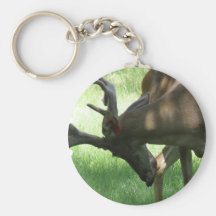 Grazing Deer Keychain