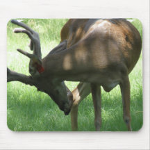 Grazing Deer Mouse Pad