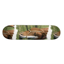 Grazing Draught   Horse Skateboard