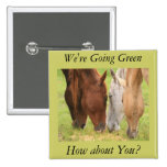 Grazing Horses Button