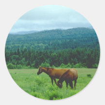 Grazing Horses with Mountain Backdrop Round Stickers
