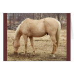 Grazing Palomino Horse Greeting Card