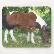 Grazing Pony  Mouse Pad