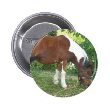 Grazing Pony  Pin