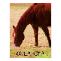 Grazing Post Cards