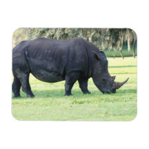 Grazing Rhino Flexible Magnet