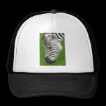 Grazing stripes hats