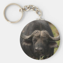 Grazing Water Buffalo  Keychain