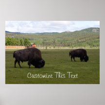Grazing Wood Bison; Customizable Posters