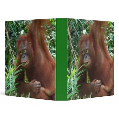 Great Ape in the Rainforest Binder by Rebecca_Reeder