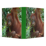 Great Ape in the Rainforest Binder