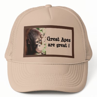 Great Apes are great! by Rebecca_Reeder