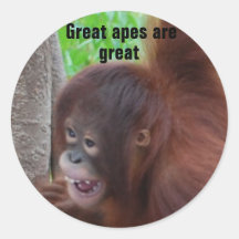 Great Apes are Great Stickers