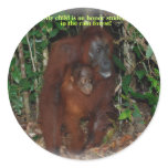 Great Apes Life in the Wild #1 Stickers