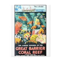Great barrier coral reef postcard