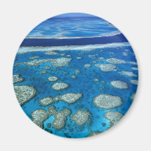 Great Barrier Reef Magnet