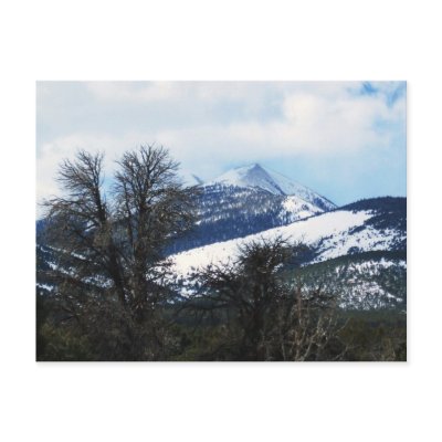 Great Basin National Park Post Card by sumiko