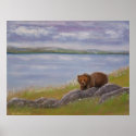 Great Bear Lake posters