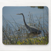 Great Blue Heron at Viera Wetlands Mousepad