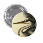 Great Blue Heron Button