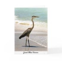 Great Blue Heron Cards