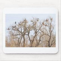 Great Blue Heron Hangout Mouse Pad