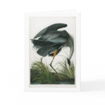 Great Blue Heron, John James Audubon Cards