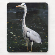 Great Blue Heron mousepad