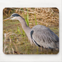 Great Blue Heron Mousepad