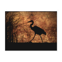 Great Blue Heron Postcard